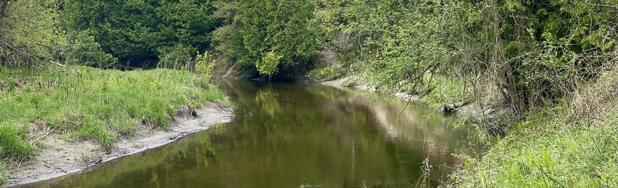 Pefferlaw Forest Trail, Ontario, Canada 63 Reviews, Map AllTrails