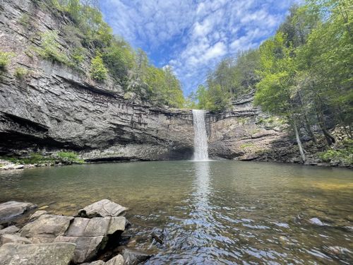 are dogs allowed at south cumberland state park