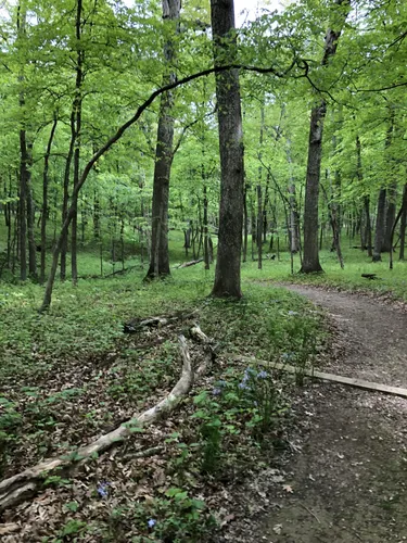 10 Best Hikes and Trails in Robert Allerton Park | AllTrails