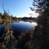 Angleworm Lake Trail, Minnesota 108 Reviews, Map AllTrails