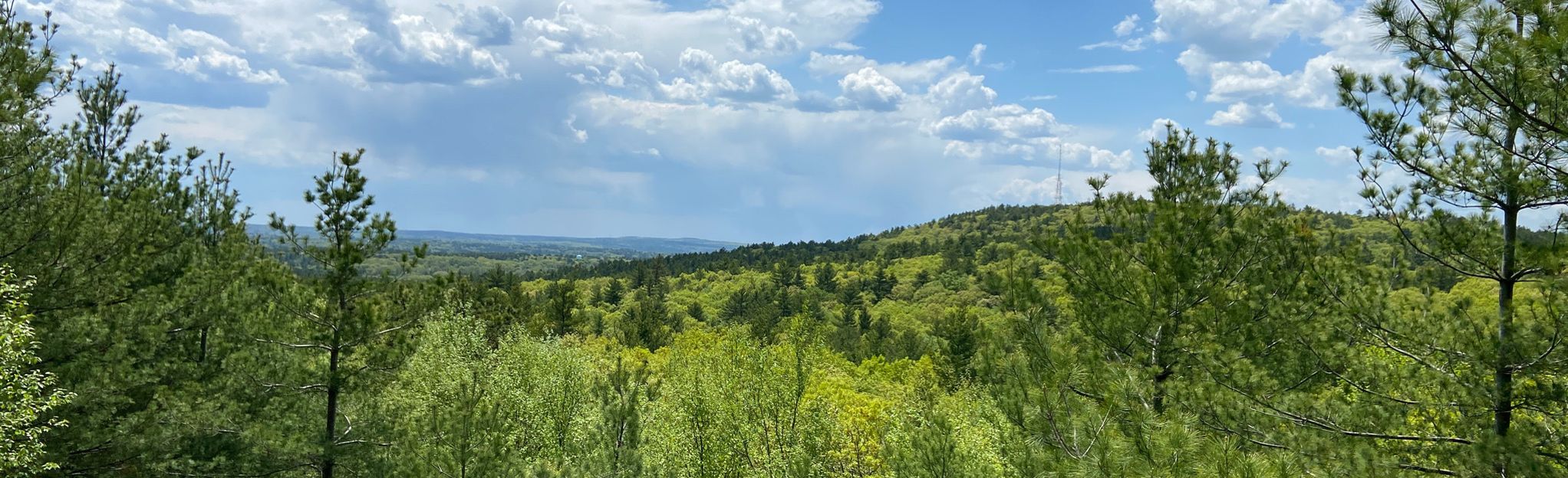 Blue Hills Skyline Loop Tower: 5.059 Fotos - Massachusetts | AllTrails