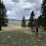 Valle Grande Trail, New Mexico - 104 Reviews, Map | AllTrails