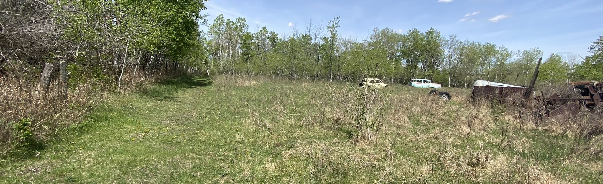 Willow Canyon, Alberta, Canada 19 Reviews, Map AllTrails