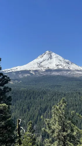 Alltrails 2024 mt hood