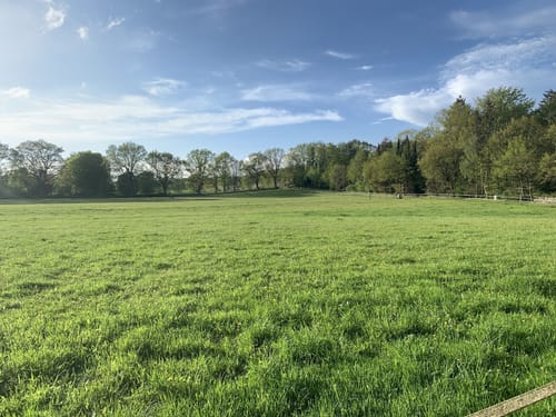 Aus Felde zum Westensee