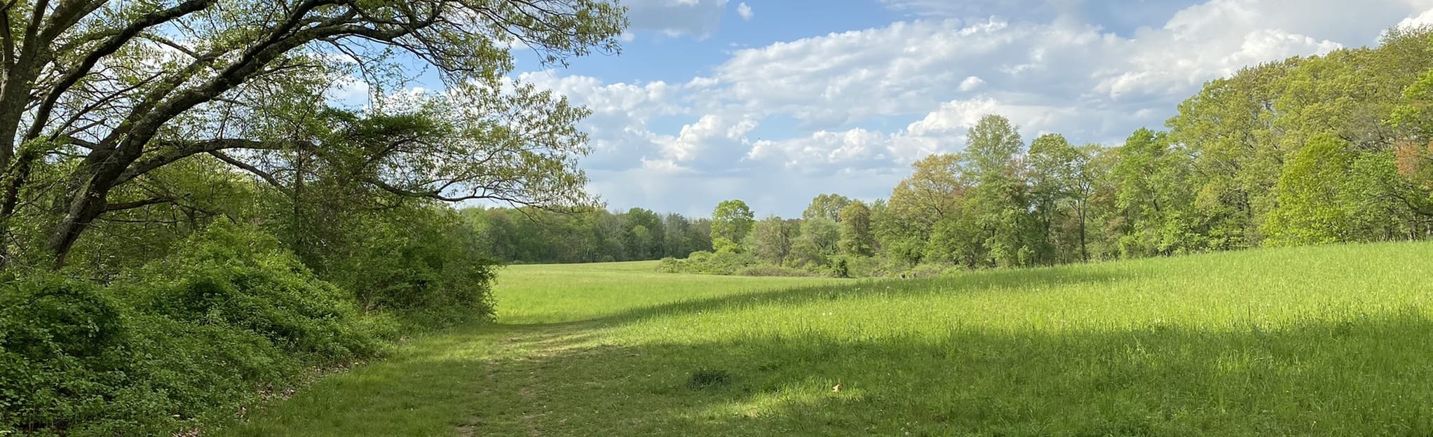 Heard Farm Loop 178 Reviews, Map Massachusetts AllTrails