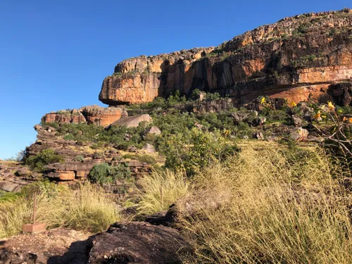 can you take dogs into kakadu