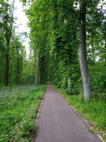 Sieglitzer Park - Worlitzer Gartenreich