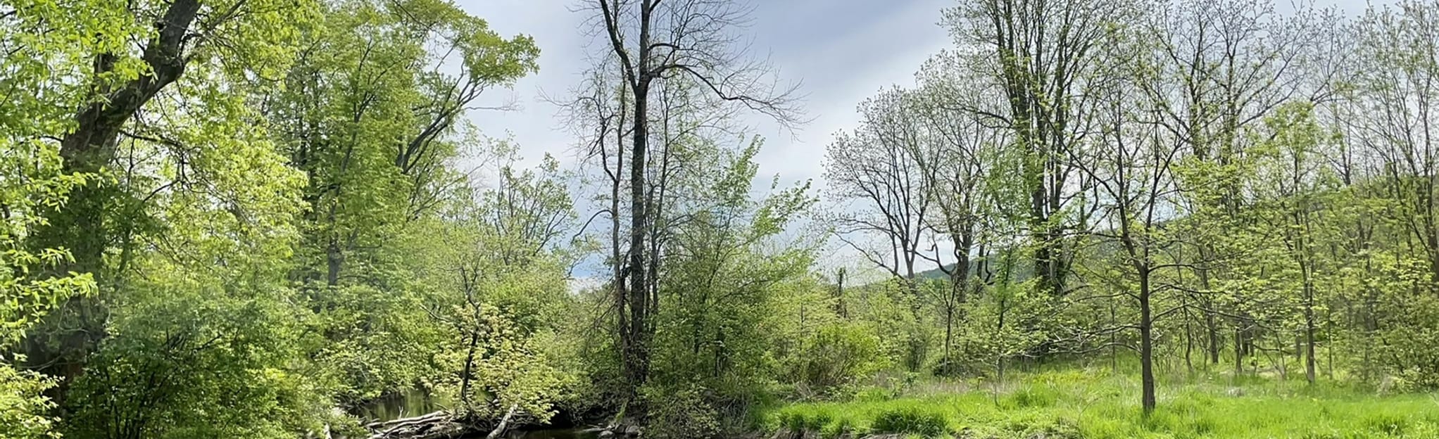 Wallkill and Vernon Valleys via Appalachian Trail, New Jersey 26