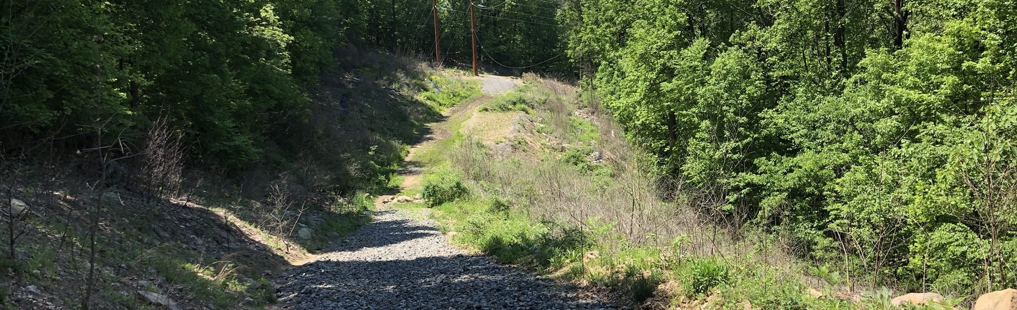 Alpine Street, Upland, Trout Run Trail Loop 1211 Reviews, Map