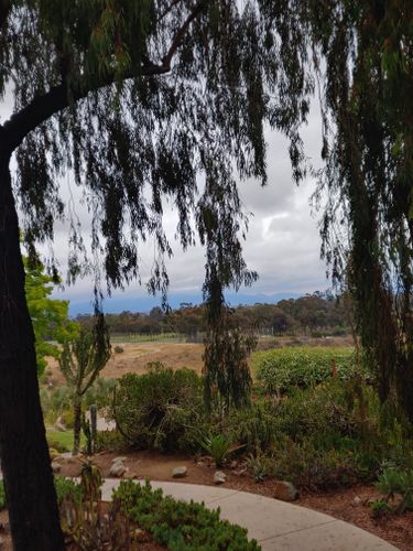 are dogs allowed in balboa park hiking trails