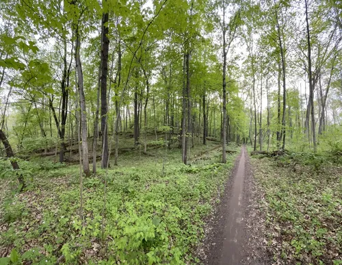 Island lake store mountain bike trail