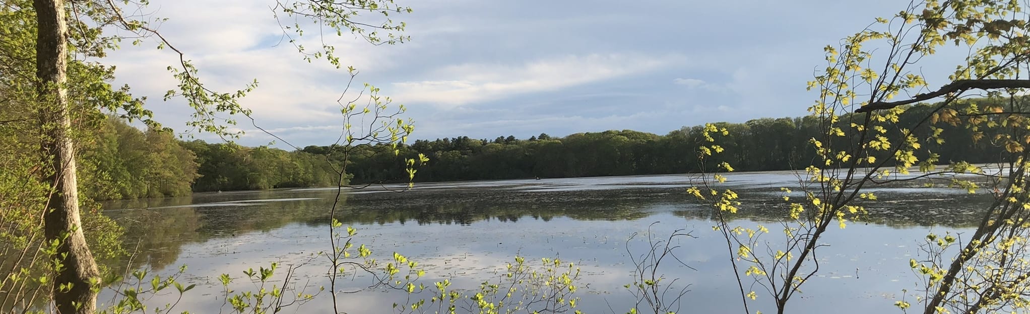 Holbrook Pond Trail, Connecticut 23 Reviews, Map AllTrails