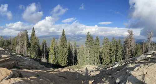 Kings canyon national park hotsell hiking trails