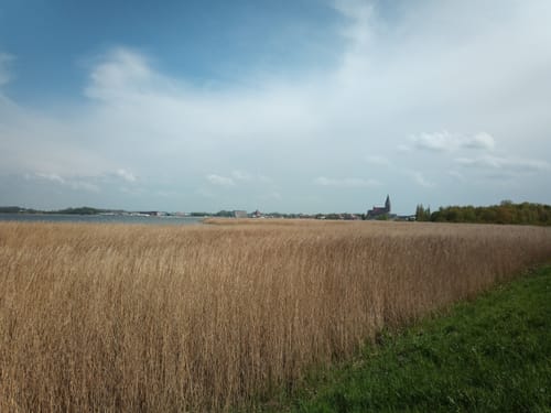 Von Barth zur Barther Bodden