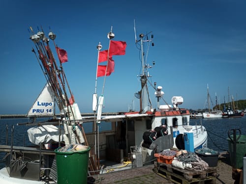 Von Barth zur Barther Bodden
