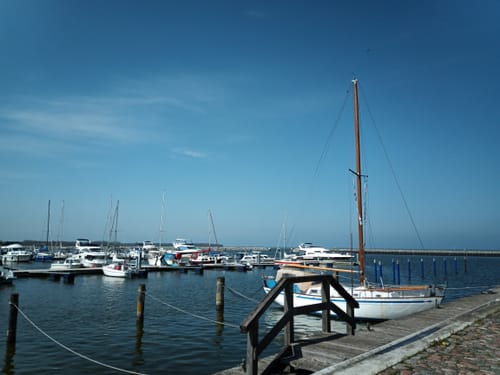 Von Barth zur Barther Bodden