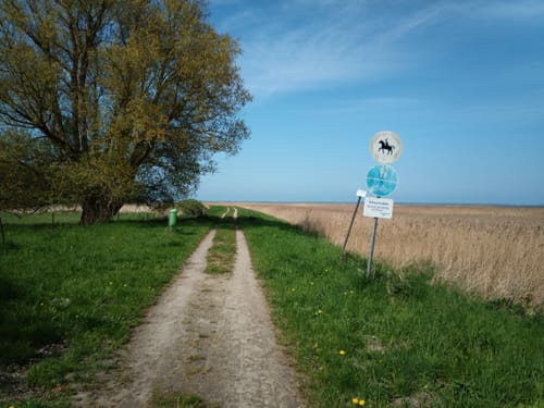 Von Barth zur Barther Bodden