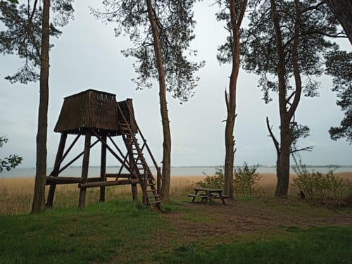 Von Barth zur Barther Bodden