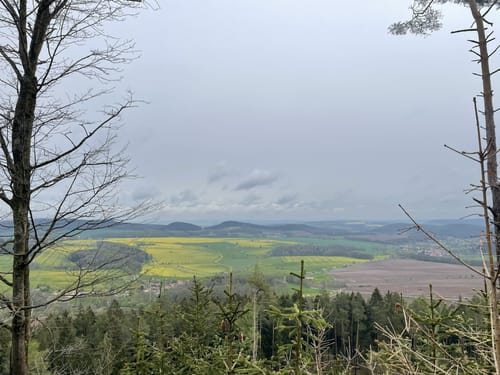 Arnstadt zum NSG Veronika Berg