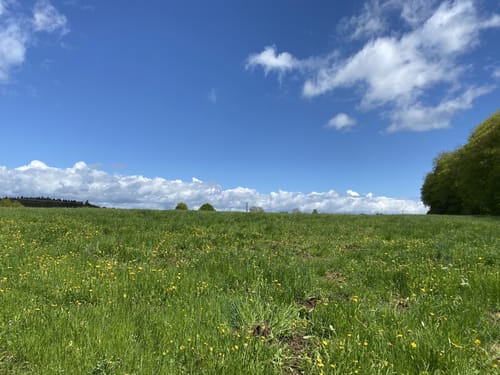 Von Obermarchtal über Datthausen nach Reutlingendorf