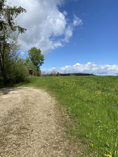 Von Obermarchtal über Datthausen nach Reutlingendorf