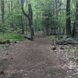 Prospect Park Loop, Massachusetts - 119 Reviews, Map | AllTrails