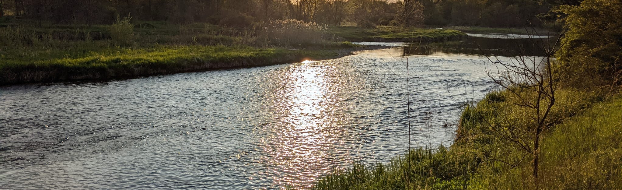 Churchville Park Trail, Ontario, Canada 58 Reviews, Map AllTrails