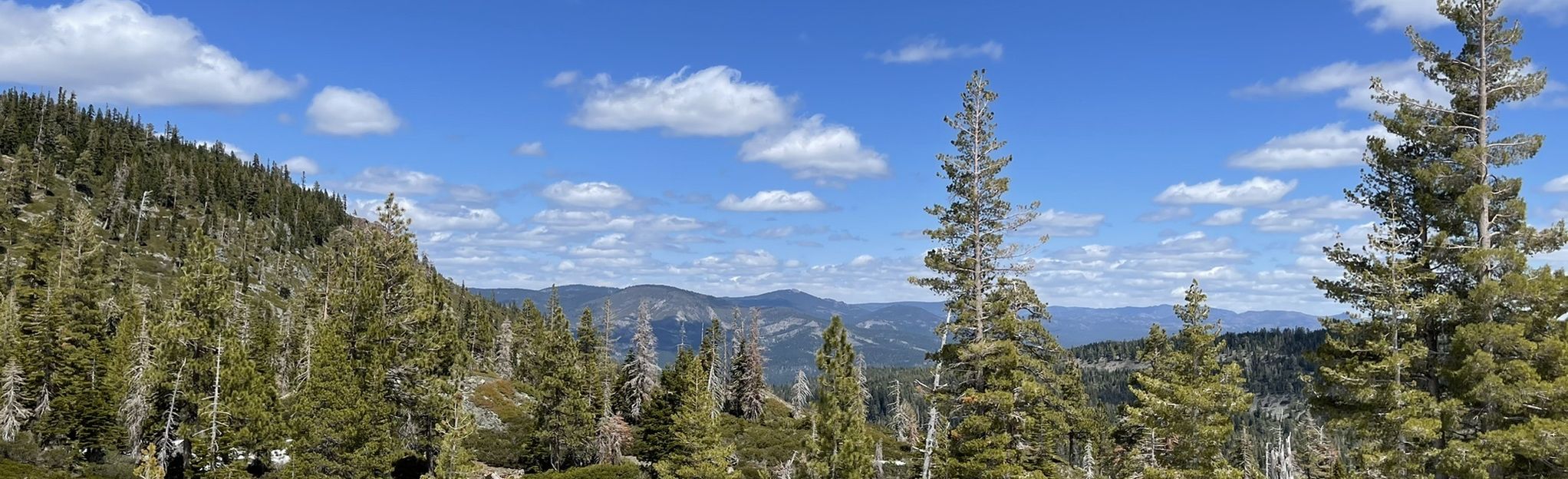 Long Lake via Long Lake Trail, California - 91 Reviews, Map | AllTrails