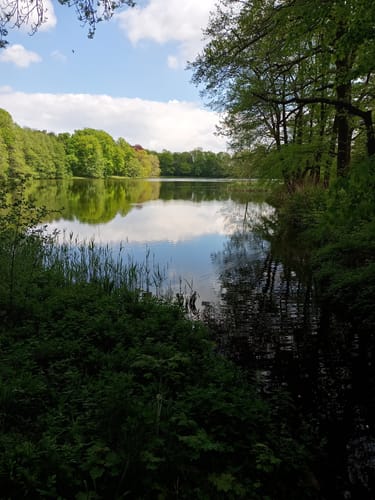Rundweg Schloß Machern