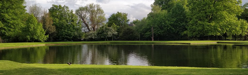 are dogs allowed in hampton court park