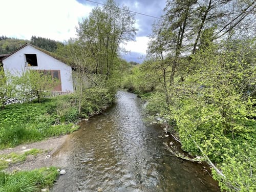 Monrealer Ritterschlag (Traumpfad)