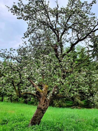 Bucher Rieselfelder Rundweg