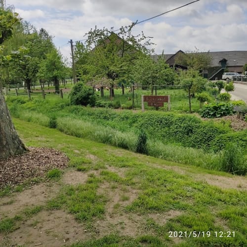 Wanderung bei Winnekendonk