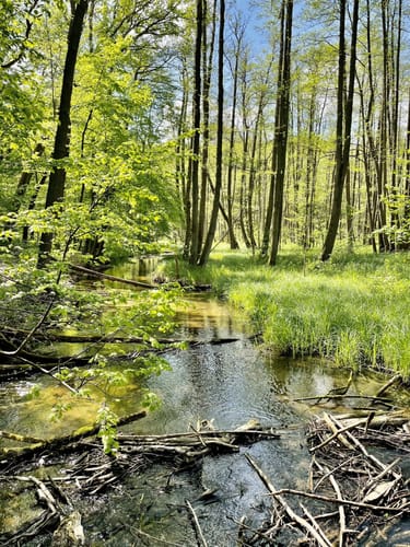 Naturparkroute Märkische Schweiz