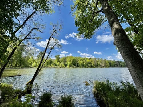 Entlang der Stöbber - Tornowsee - Schermützelsee