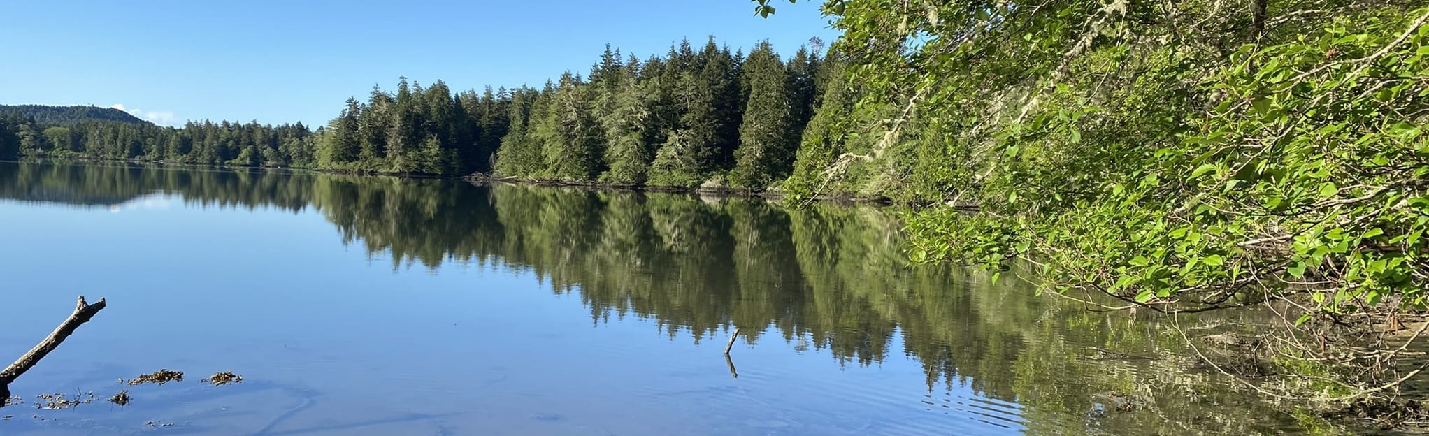 Yellow Gate Trail, British Columbia, Canada 23 Reviews, Map AllTrails