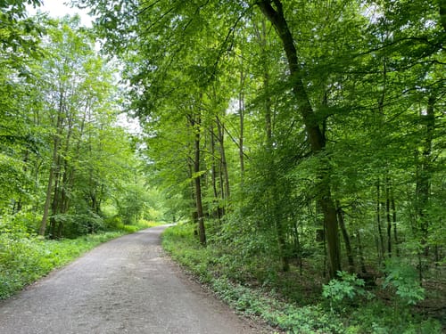Kleiner Rundweg im Deister ab Egestorf