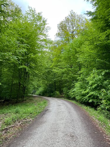 Kleiner Rundweg im Deister ab Egestorf