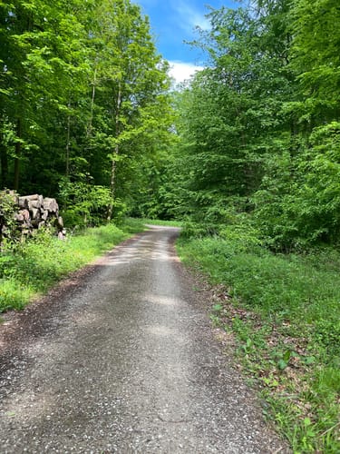 Kleiner Rundweg im Deister ab Egestorf