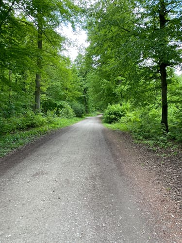 Kleiner Rundweg im Deister ab Egestorf
