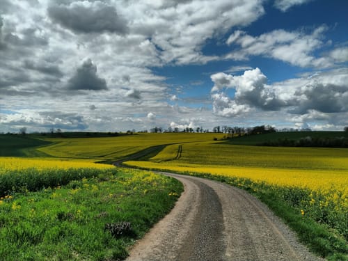 Bachtour Lauterbach (Premiumwanderweg)