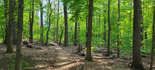 10 Best Trails and Hikes in Rochester | AllTrails