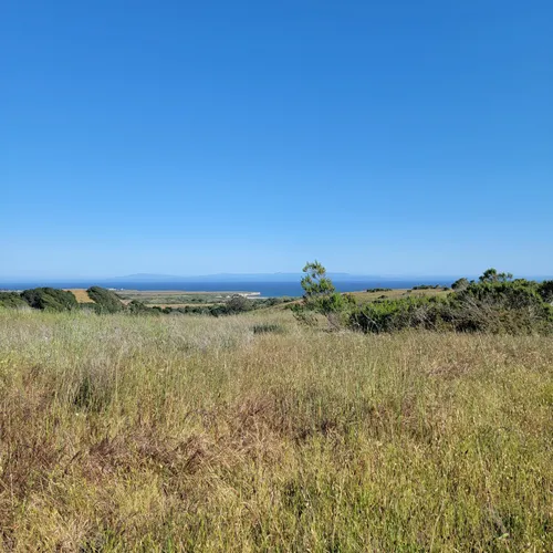 10 Best Hikes and Trails in Wilder - EyJidWNrZXQiOiJhc3NldHMuYWxsdHJhaWxzLmNvbSIsImtleSI6InVwbG9hZHMvcGhvdG8vaW1hZ2UvMzY1NzYwMDEvNDE0ZmIxZTRjYzE2Y2FmMzNkNmMxNzAyODg5NzkwYWIuanBnIiwiZWRpdHMiOnsidG9Gb3JtYXQiOiJ3ZWJwIiwicmVzaXplIjp7IndpZHRoIjo1MDAsImhlaWdodCI6NTAwLCJmaXQiOiJpbnNpZGUifSwicm90YXRlIjpudWxsLCJqcGVnIjp7InRyZWxsaXNRdWFudGlzYXRpb24iOnRydWUsIm92ZXJzaG9vdERlcmluZ2luZyI6dHJ1ZSwib3B0aW1pc2VTY2FucyI6dHJ1ZSwicXVhbnRpc2F0aW9uVGFibGUiOjN9fX0=