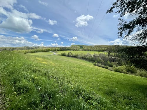 Wald & Flur (Pittersdorf)