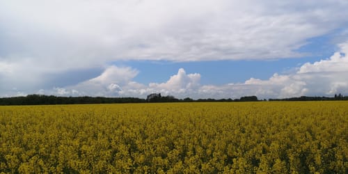 Rundwanderweg Leipzig (Etappe 2): Miltitz - Wiederitzsch - Paunsdorf