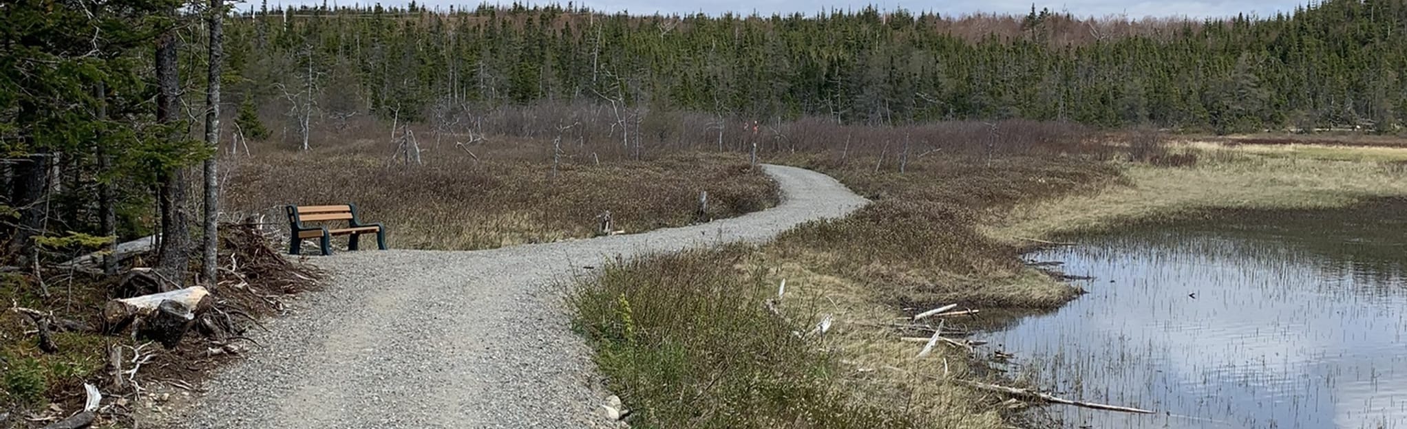 Ned's Pond and Devil's Pond Trail 22 Reviews, Map Newfoundland and