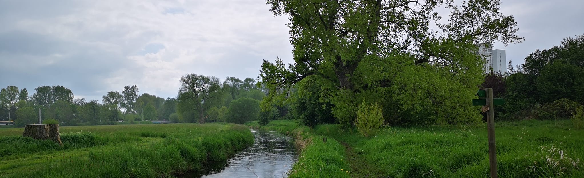 PartheWanderweg von Leipzig nach Beucha 53 Fotos Sachsen