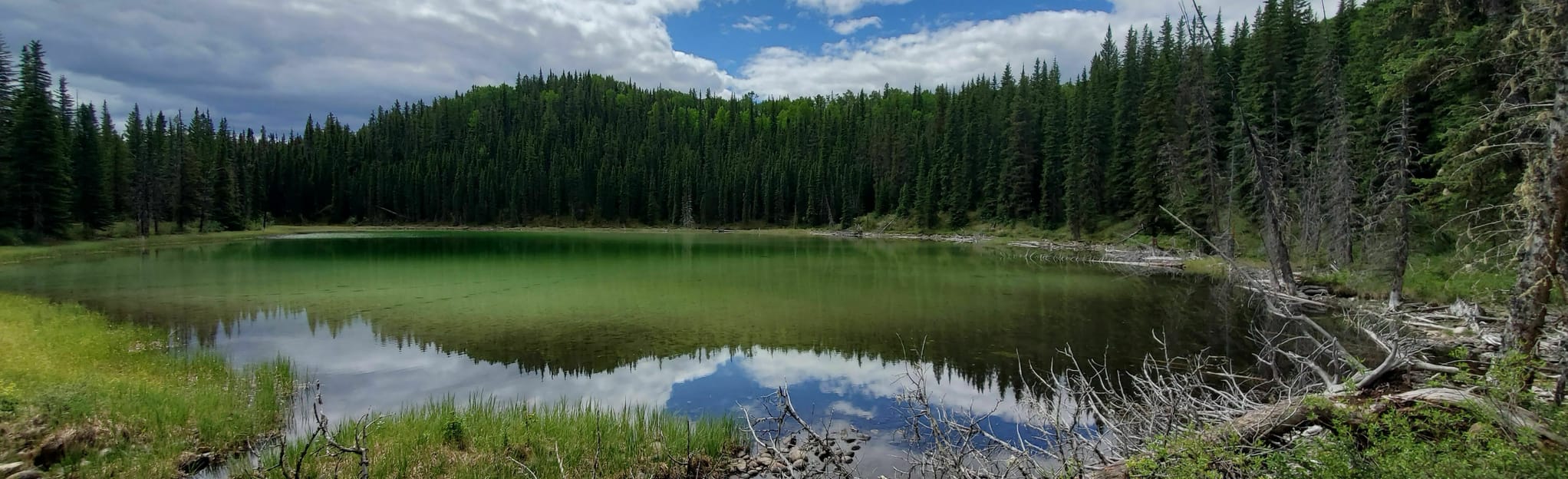 Gregg Lake Trail, Alberta, Canada 29 Reviews, Map AllTrails