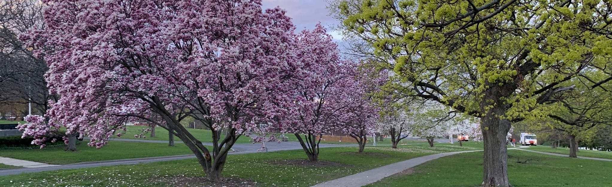 Lincoln Park Loop, New York 15 Reviews, Map AllTrails